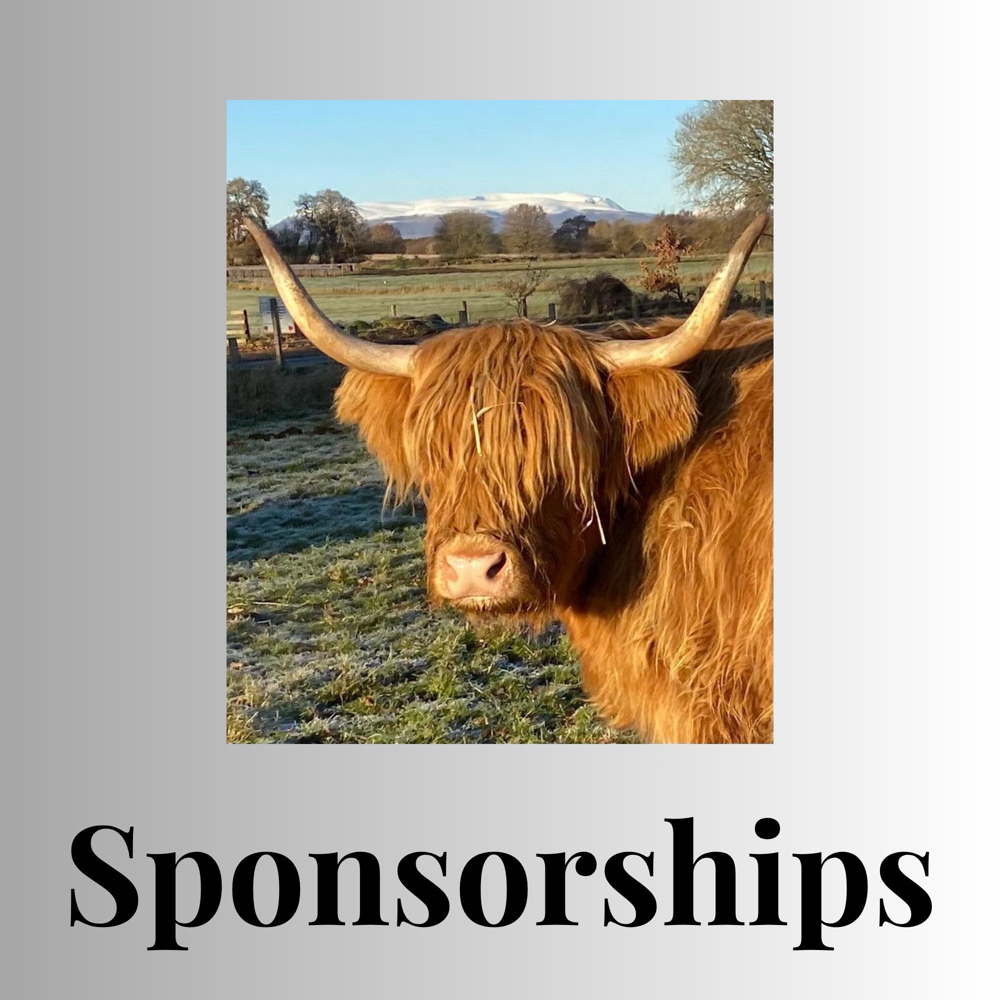 sponsorships